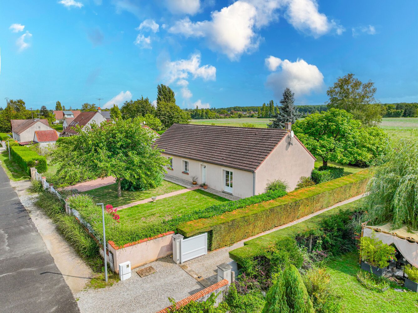 dji_fly_20250904_130906_106_1756984416287_photo 2